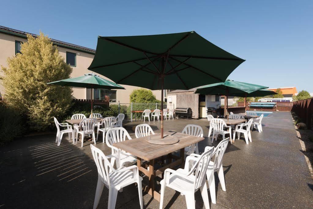 Lobster Inn Motel Кайкоура Экстерьер фото